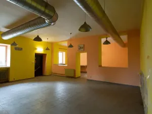 Pronájem restaurace, Sokolov, Karla Havlíčka Borovského, 490 m2