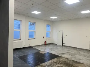 Pronájem obchodního prostoru, Dalovice, Botanická, 136 m2