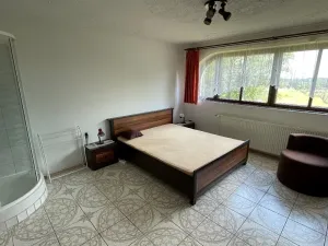 Pronájem vícegeneračního domu, Kynšperk nad Ohří, 600 m2