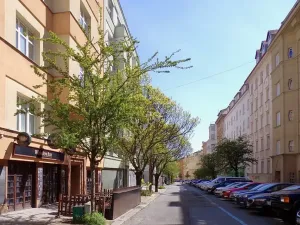 Pronájem bytu 2+1, Brno, Gorkého, 45 m2