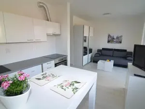 Pronájem bytu 1+kk, Vestec, U Hrubých, 35 m2