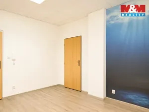 Pronájem kanceláře, Ostrava - Mariánské Hory, Raisova, 30 m2