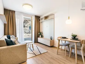 Pronájem bytu 1+kk, Brno, Bystrcká, 30 m2
