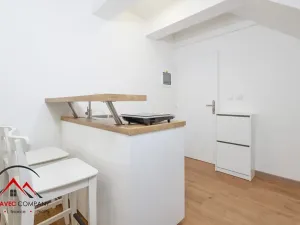 Pronájem apartmánu, Ostrava, Cihelní, 23 m2