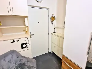 Prodej bytu 2+1, Příbram, Dlouhá, 53 m2