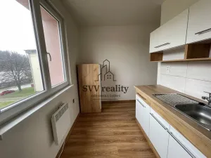 Prodej činžovního domu, Dvorce, Nemocniční, 970 m2