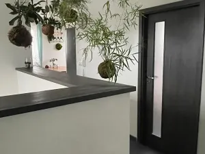 Prodej bytu 3+kk, Jihlava, Dělnická, 76 m2