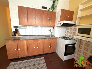 Pronájem bytu 1+1, Plzeň, Tachovská, 39 m2