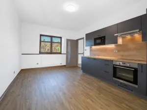 Pronájem bytu 1+1, Plzeň - Severní Předměstí, Bolevecká, 51 m2