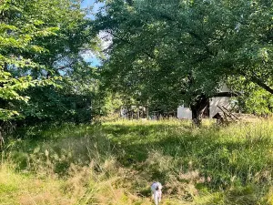 Prodej zahrady, Bludov, 1777 m2