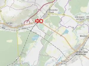 Prodej lesa, Moravský Písek, 4838 m2