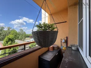 Pronájem bytu 2+1, Karviná, Víta Nejedlého, 59 m2