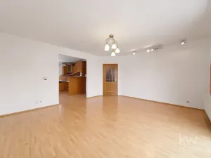 Pronájem rodinného domu, Plzeň, K Řečici, 240 m2