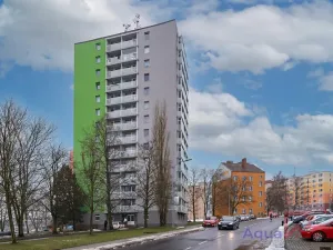 Pronájem bytu 2+1, Cheb, Palackého, 53 m2