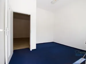 Pronájem skladu, Brandýs nad Labem-Stará Boleslav, Strojírenská, 40 m2