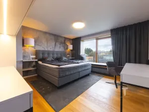 Pronájem rodinného domu, Boskovice, Gagarinova, 260 m2