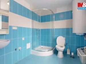 Prodej rodinného domu, Staré Město pod Landštejnem, 200 m2