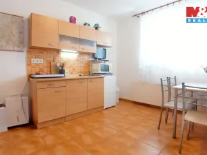 Prodej rodinného domu, Staré Město pod Landštejnem, 200 m2