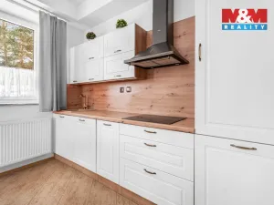 Prodej ubytování, Borušov - Svojanov, 1890 m2