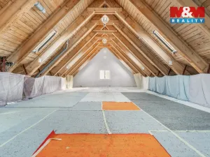 Prodej ubytování, Borušov - Svojanov, 1890 m2