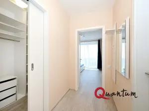 Pronájem bytu 1+kk, Praha - Žižkov, Olgy Havlové, 38 m2