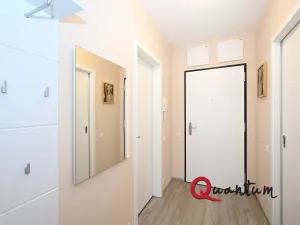 Pronájem bytu 1+kk, Praha - Žižkov, Olgy Havlové, 38 m2