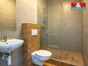 Pronájem bytu 1+kk, Radošovice, 18 m2