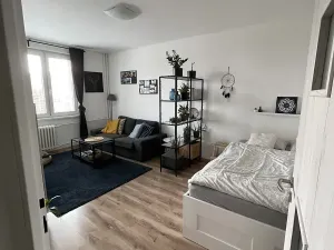 Pronájem bytu 1+1, Ostrava, Opavská, 35 m2