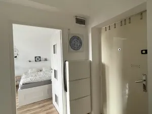 Pronájem bytu 1+1, Ostrava, Opavská, 35 m2