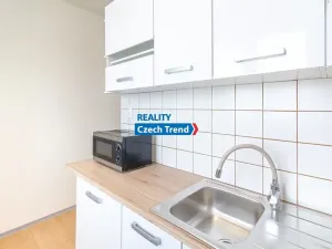 Pronájem bytu 3+1, Skrbeň, Hlavní, 70 m2