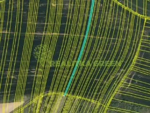 Prodej pole, Svatobořice-Mistřín, 8725 m2