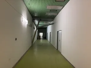 Pronájem skladu, Brno, Jana Babáka, 107 m2