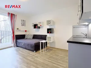 Pronájem bytu 1+kk, Plzeň, Sladová, 26 m2