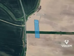 Prodej podílu pole, Vysoká nad Labem, 2954 m2