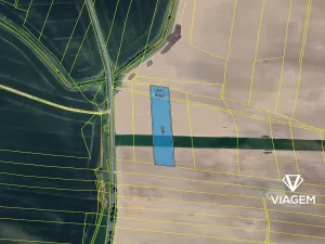 Prodej podílu pole, Vysoká nad Labem, 2954 m2
