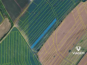 Prodej pole, Louka, 5366 m2