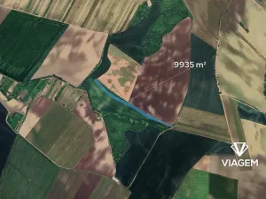 Prodej podílu pole, Bořetice, 4967 m2