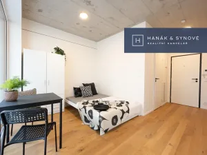 Pronájem bytu 1+kk, Brno, Koliště, 22 m2