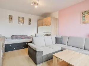 Pronájem bytu 1+1, Rokycany, Pod Ohradou, 35 m2