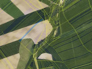 Prodej pole, Dambořice, 12804 m2