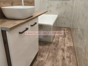 Pronájem bytu 1+1, Ostrava, Hilbertova, 54 m2