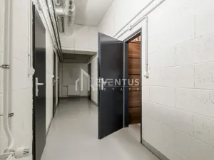 Pronájem bytu 2+kk, Praha - Holešovice, Sanderova, 58 m2