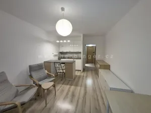 Pronájem bytu 1+kk, Ostrava - Moravská Ostrava, Gen. Janouška, 30 m2