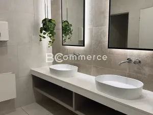 Pronájem kanceláře, Brno, Vídeňská, 555 m2