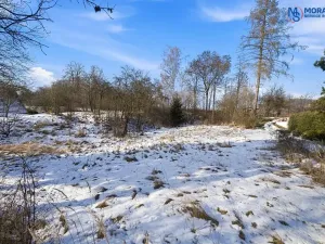 Prodej pozemku pro bydlení, Choustník, 1942 m2