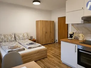 Pronájem bytu 1+kk, Husinec, Jeronýmova, 29 m2