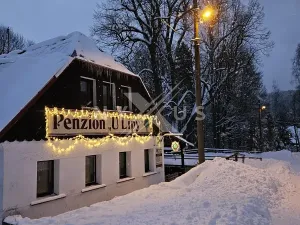 Prodej rodinného domu, Josefův Důl, 550 m2