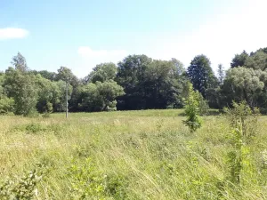 Dražba louky, Meziměstí, 28977 m2