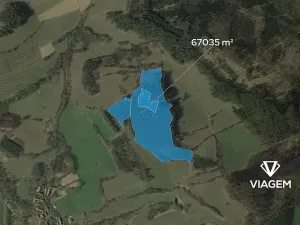 Prodej podílu lesa, Nechvalice, 33517 m2