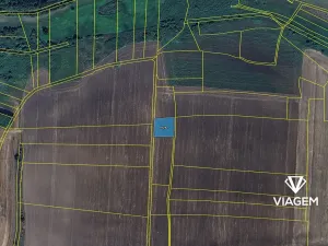 Prodej podílu pole, Staňkovice, 1216 m2
